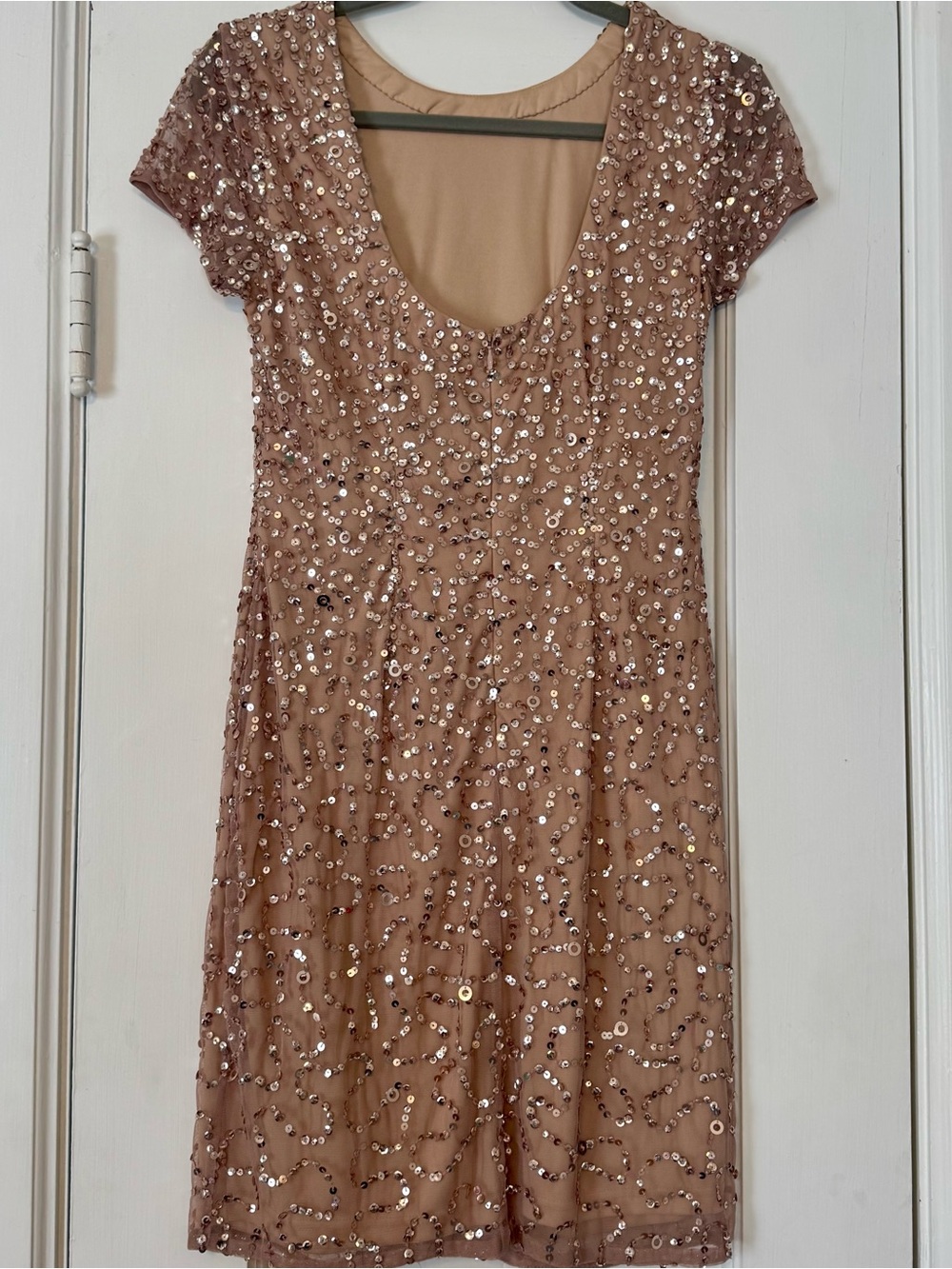 Adrianna Papell Sequin-Embellished Short Sleeve Dress in Rose - Picture 4 of 6